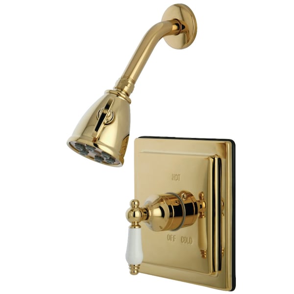 Shower Faucet, 2, Wall Mount, Polished Brass